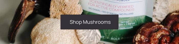 shop real mushrooms