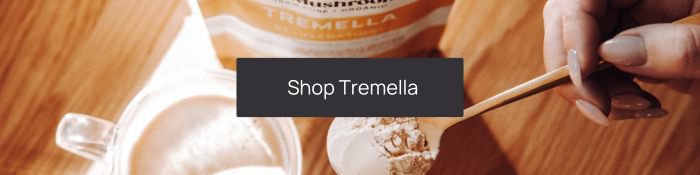 shop tremella mushroom